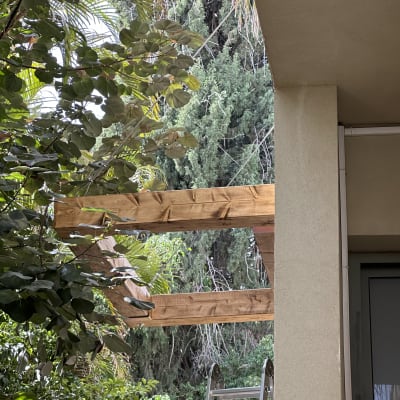 קורות עץ ולידם סולם בגינה