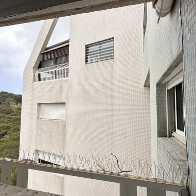 דוקרנים למניעת יונים על מעקה מרפסת