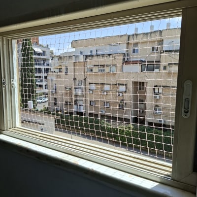 רשת יונים מותקנת על חלון למניעת כניסת יונים