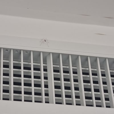 פתח אוורור של מזגן עם חרק קטן על הגריל