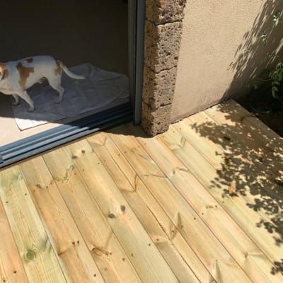 דק עץ חדש עם צללים של צמחים