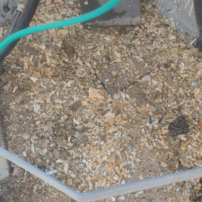 צינורות ומיכל שמש עם לכלוך על הקרקע