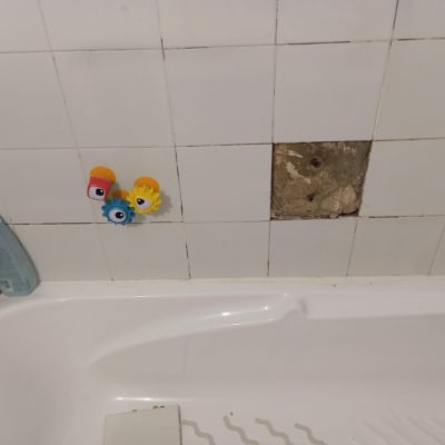 חדר אמבטיה עם אריח חסר בקיר