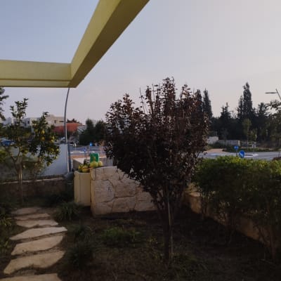 שביל אבן בגינה עם עצים ושיחים