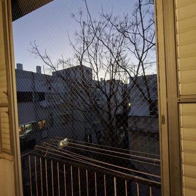 רשת הגנה על חלון למניעת כניסת יונים