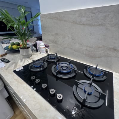 כיריים גז מודרניות במטבח עם צמח ועיצוב נקי