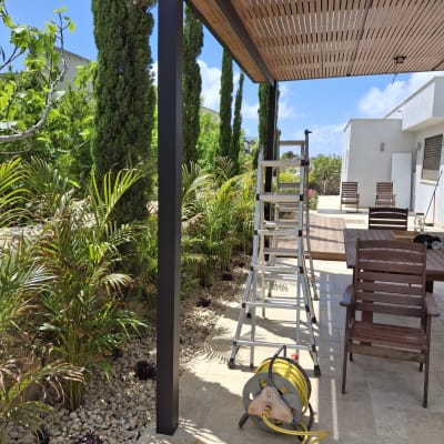 סולם, צינור מים מגולגל, צמחים וערוגת אבנים