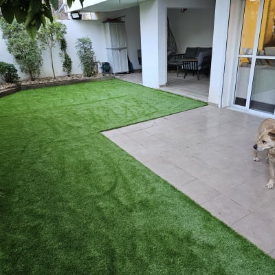 דשא סינתטי, עציצים וערוגות עם צמחים