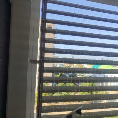 רשת יונים מותקנת על חלון למניעת כניסת יונים