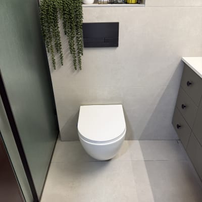 אסלה תלויה על קיר