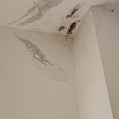 נזקי רטיבות בתקרה, קיר מתקלף