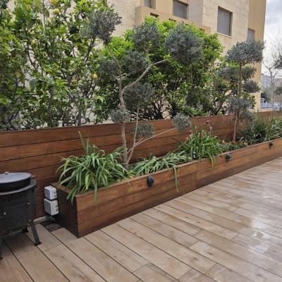 אדניות עץ עם צמחים על דק עץ