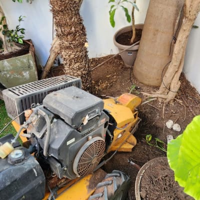 מכונת גיזום ליד עצים בגינה