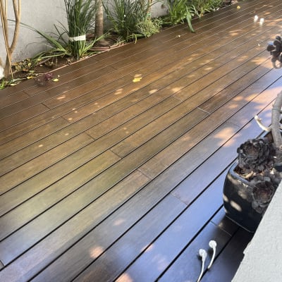 רצפת עץ עם עציצים ושתילים לאורך הקיר