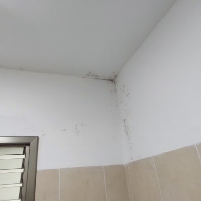 קיר עם כתמי עובש בפינה עליונה