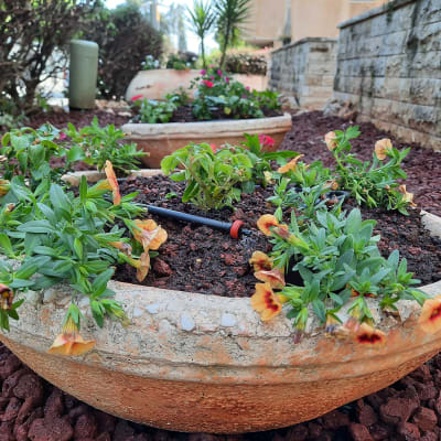 עציצים עם פרחים ואדמה, מערכת השקיה בטפטוף