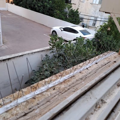 מחטי מתכת על אדן חלון למניעת יונים