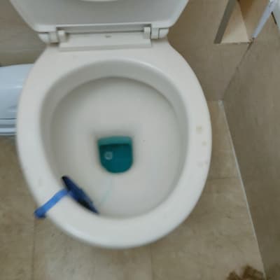 אסלה עם מברשת כחולה וסבון ירוק