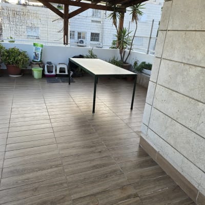 מרפסת עם שולחן, עציצים ורצפת עץ