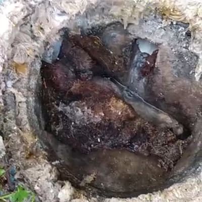 פתח ביוב עם חסימה ולכלוך