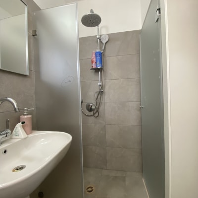 מקלחת עם ראש מקלחת, כיור וסבון