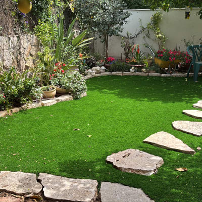 עציצים עם פרחים צבעוניים, שביל אבנים בגינה