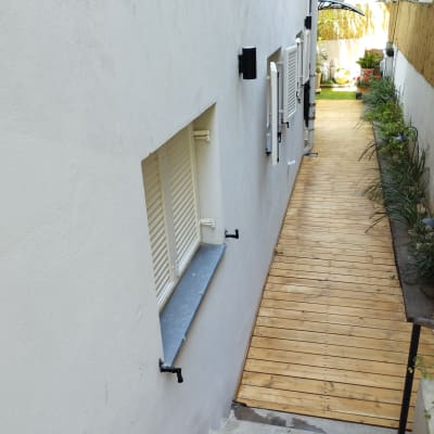 שביל עץ עם צמחייה בצדדים