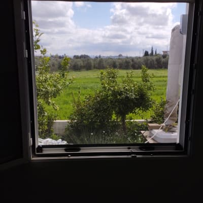 חלון אלומיניום פתוח עם נוף ירוק בחוץ