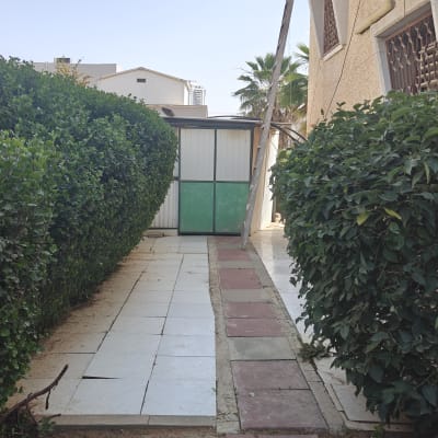 שיחים וגדר חיה לצד שביל מרוצף