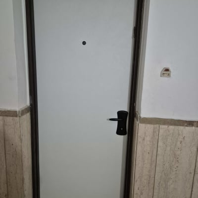 דלת מתכת עם ידית שחורה ומסגרת כהה