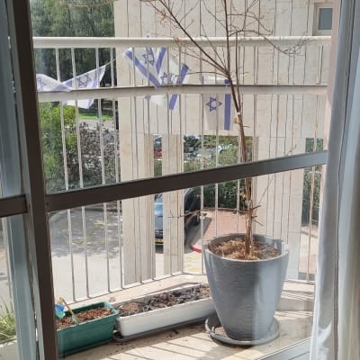 חלון זכוכית עם נוף למרפסת ועציץ