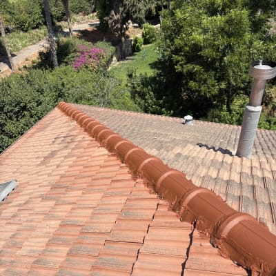 גג רעפים עם צינור מתכת ועצים ברקע