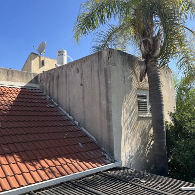 גג רעפים עם עץ דקל ליד קיר בניין