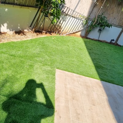 דשא ירוק עם עצים וצל של אדם בגינה