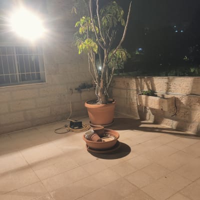 תמונה אינה מציגה עבודה בתחום