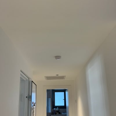 מסדרון עם גלאי עשן ותקרה צבועה