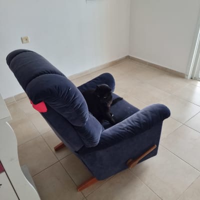 עבודות צבע וטיח