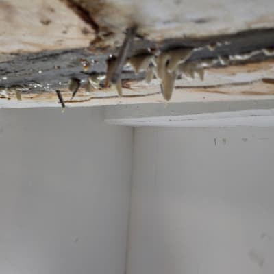 חומר איטום נוזל מתקרה עם סדקים