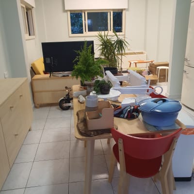 חדר עם שולחן, כיסא אדום, עציצים וחפצים שונים