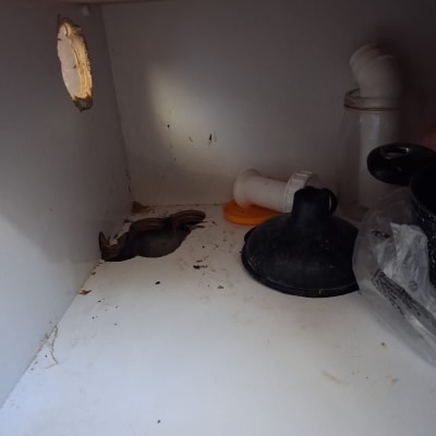 כלים וחלקי אינסטלציה בארון מתחת לכיור