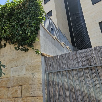 צמח מטפס ירוק על קיר אבן