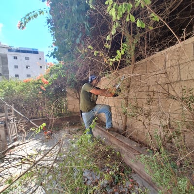אדם גוזם שיחים עם מסור חשמלי בגינה