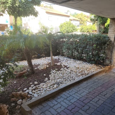 גינה עם עצי דקל, אבנים לבנות ואדמה חומה