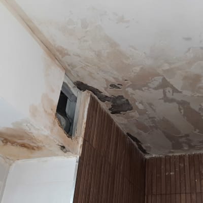תקרה עם סימני רטיבות ועובש ליד מאוורר
