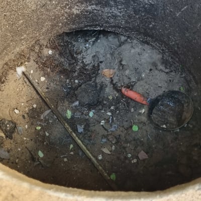 תא ביוב עם לכלוך וענפים יבשים