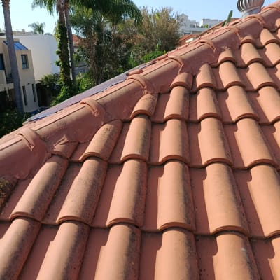 גג רעפים עם צמחייה ברקע