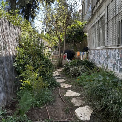 שביל גינה עם צמחים ועצים לצד בית