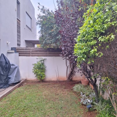 גינה עם דשא, עצים ושיחים ירוקים