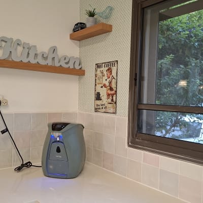 מדף עם קישוטים במטבח, מכשיר חשמלי על השיש