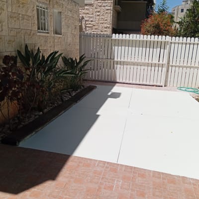 צמחים ירוקים באדנית לצד שביל מרוצף